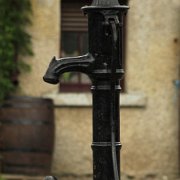 Black Bird Narrow.jpg